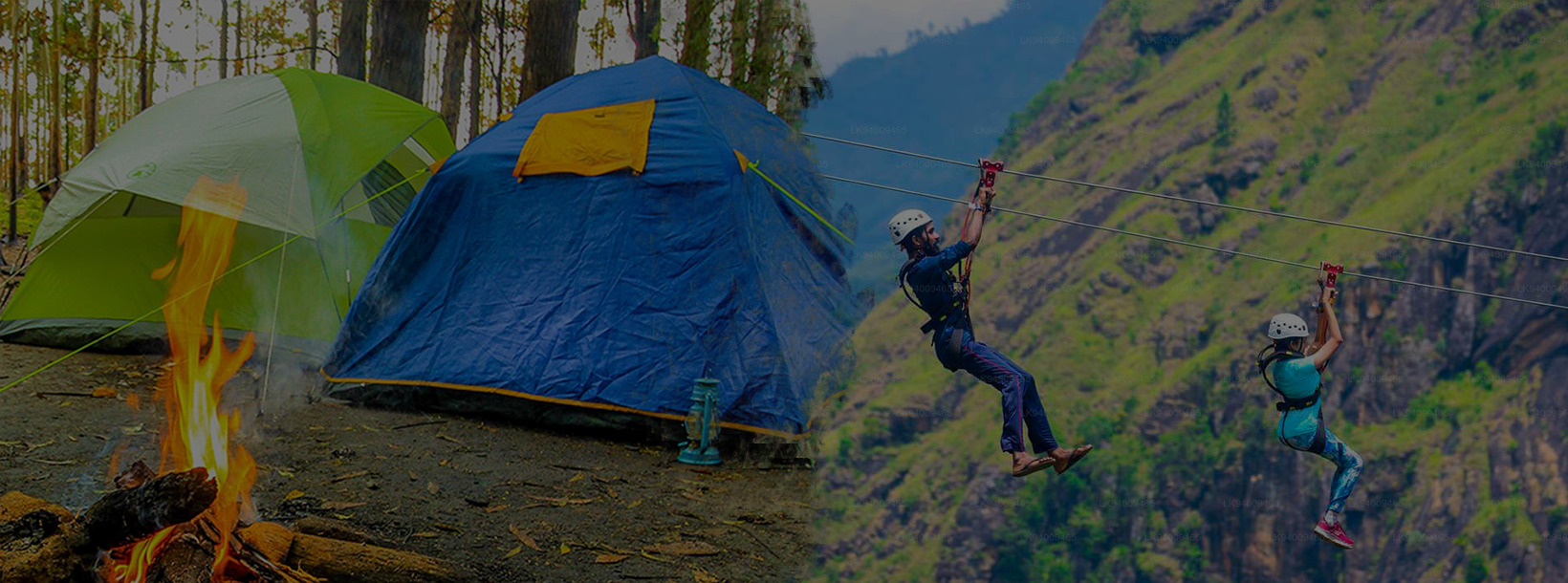 Sri Lanka coastal road with palm trees